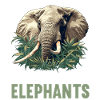 Elefanten Elefant