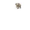 Elephant Elephant