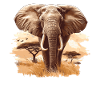 Elephant Elephant