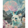 Comet cat between blooming peaks