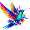 Colibri