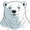 Polar bear