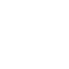 Large Blooming Sunflower