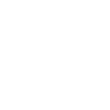 Garden Plant Blooming Sunflower