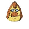 Hotte Klamotte Bernd