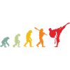 Karate Evolution Entwicklung Kamfkunst