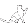 Katze