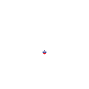 T-shirt de style slovène