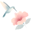 Hummingbird and Blossom