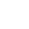Cadeau d’amour de pinson zébré