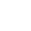 Champion Est. 2024