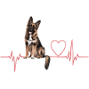 Cadeau Heartbeat pour chiens