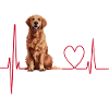 Cadeau Heartbeat pour chiens