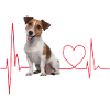 Cadeau Heartbeat pour chiens
