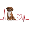 Cadeau Heartbeat pour chiens