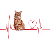 Katzen Herzschlag Geschenk
