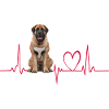 Heartbeat Gift for Dogs