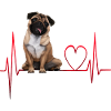 Heartbeat Gift for Dogs