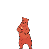 Beer Pong Beer Pong