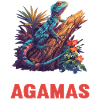 Agamen Agame