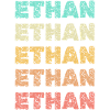 Ethan Ethan