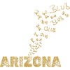 L’Arizona comme bateau