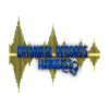 CRIMINAL WAVE FORM