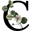 Letter C Botanical Green