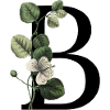 Letter B Green Botanical