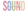Sound Engineer Sound Engineer