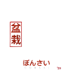 Bonsaï