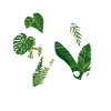 Permaculture Permaculture Gardener