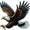 Eagle