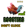Real roosters