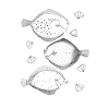 Flatfish poster