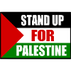 stand up for palestine