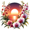 Orchid Sunset