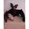 Night Wing Bat and Mouse