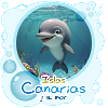 Delfin