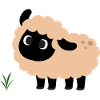 Cute Sheep