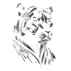 Modern - Panther