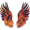 Bright Burning Wings