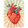 Blue and Red Heart