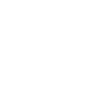 GOTH Skull
