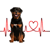 Cadeau Heartbeat pour chiens