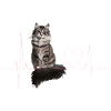 Cats Heartbeat Gift