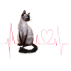 Cats Heartbeat Gift