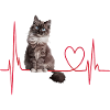 Cats Heartbeat Gift