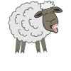 Smiling Sheep