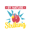 Bowling Left-handed Left-handed bowler